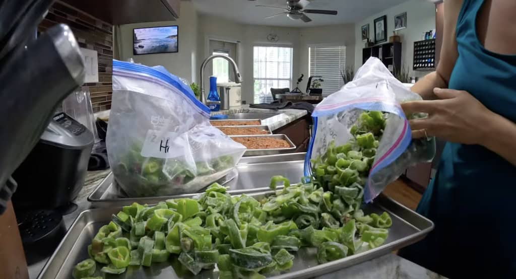 Freeze Drying Peppers